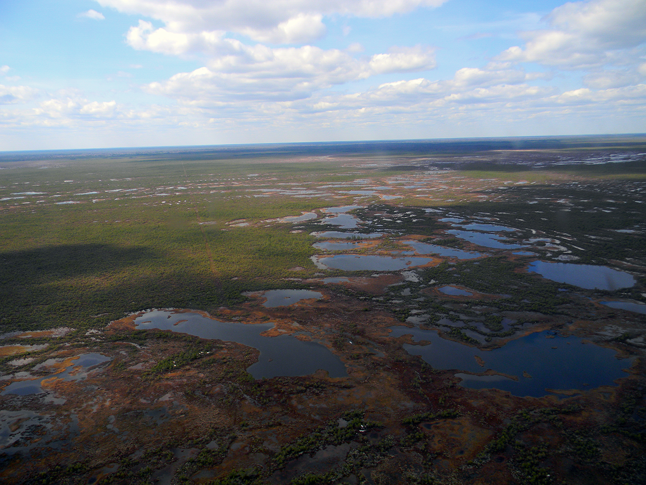 Самое большое болото новосибирской области